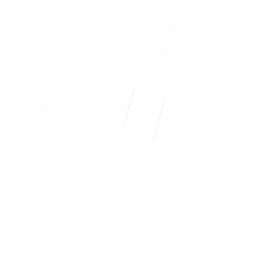 Stop the violence